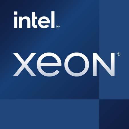 Intel Xeon E-2414 Processor 2.6 GHz – CM8071505025407